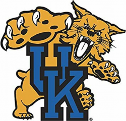 Amazon.com: 8 Inch UK University of Kentucky Wildcats Logo ...