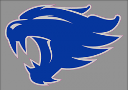 Details about University of Kentucky UK Wildcats Logo 6\