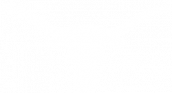 University of Texas Athletics - Big 12 Champions For Life