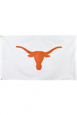 WHT Applique Longhorn Flag with Grommets - 3 ft x 5 ft