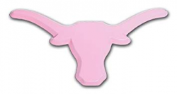 Amazon.com: University of Texas Longhorn Pink Car Emblem ...