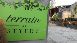 The Trad: Terrain At Styers: Trees, Brie & History
