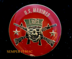 Details about US MARINES SKULL RIFLES LAPEL HAT PIN UP USMC VETERAN GRUNT  INFANTRY AIR WING