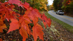 Coming up from the USA TODAY Network: Celebrate Batman Day ...