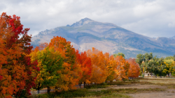 Fall foliage: 10 spots for great leaf peeping