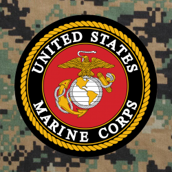 United States Marine Corps Emblem on Digital Camouflage in ...