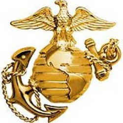 Details about U.S. Marine Corps B1 Left Gold Collar Global Emblem USMC  Lapel / Pin 1\