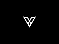 Letter V Wing Concept Logo | V logo design, Logos design ...