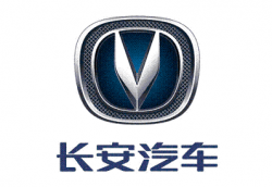 Bicycle: V Logo On Car