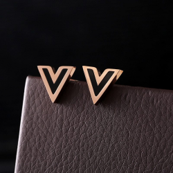 Fashion Luxury Titanium Steel Earrings slippers logo V letter Crown Square  Geometry Heart Soul Hypoallergenic Earring Jewelry