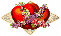 Vintage Victorian Valentine Clip Art | ... -: Free Vintage ...