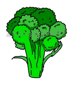 Free Broccoli Cliparts, Download Free Clip Art, Free Clip ...