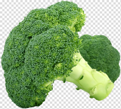 Download for free 10 PNG Vegetable clipart broccoli top ...