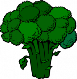 Dark Broccoli clip art | Broccoli, Fruit, Fruit list