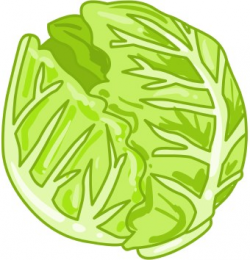 Free Cabbage Cliparts, Download Free Clip Art, Free Clip Art ...