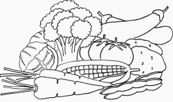 Simplistic Printable Pictures Of Vegetables Vegetable ...