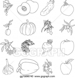Vector Stock - Coloring book. set of fruits and vegetables ...