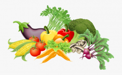 Vegetable Garden Borders - Vegetables Clipart Png #71829 ...