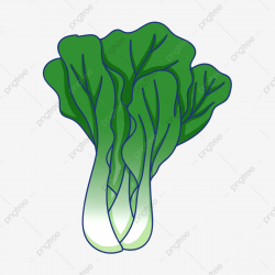 Lettuce Green Leafy Vegetables, Vegetables Clipart, Lettuce ...