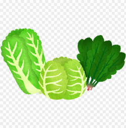 leafy vegetables - green leafy vegetables clipart PNG image ...