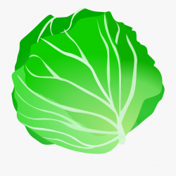 Download for free 10 PNG Vegetables clipart cabbage top ...
