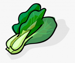 Cabbage Clipart Bok Choy - Green Vegetables Clipart #659500 ...