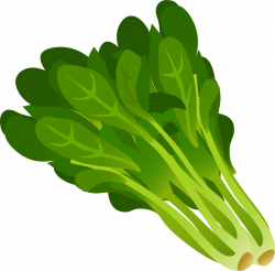 Vegetables clipart green vegetable, Vegetables green ...