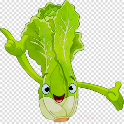 Plant Leaf clipart - Lettuce, Vegetable, Leaf, transparent ...