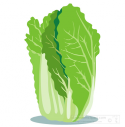 Download for free 10 PNG Vegetables clipart lettuce top ...