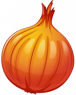 Vegetables clipart onion, Vegetables onion Transparent FREE ...