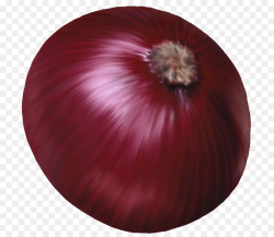 Red onion Vegetable Clip art - Vegetables onion