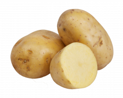 Download for free 10 PNG Vegetables clipart potato top ...