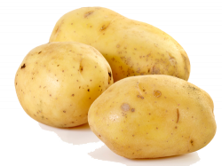 Download Potato Clipart HQ PNG Image | FreePNGImg