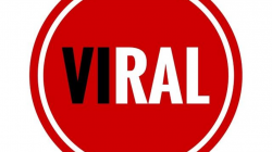 Viral by Phillip McGee — Kickstarter