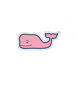 5-Pack Whale Stickers