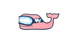 Authentic Vineyard Vines Seasonal Holiday Whale Preppy Vinyl Sticker Decal  Southern Proper Sold By LOBO (Christmas Lights)