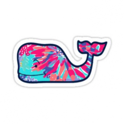 Vineyard Vines and Lilly Pulitzer