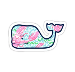 Vineyard Vines Lilly Pulitzer by cjsturges