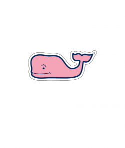 5-Pack Whale Stickers