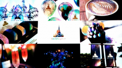 Walt Disney World Changes for 2021: The 50th Anniversary ...