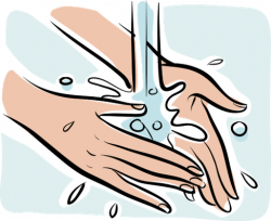 Person Washing Hands, Close-Up of Hands | Health and ...