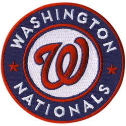 Amazon.com: MLB Washington Nationals Embroidered Team Logo ...