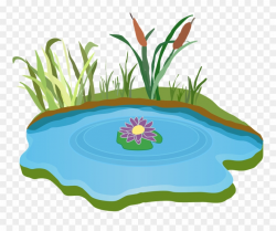 Pond Water Outdoor - Free Clipart Pond - Png Download (#311661 ...