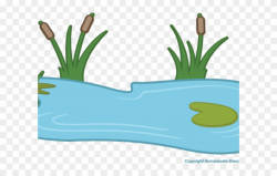 Lily Pad Clipart Pond Animal - Water Pond Pond Clipart - Png ...