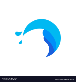 Water splash wave circle icon