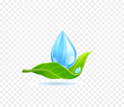 Green Leaf Logo png download - 1131*975 - Free Transparent ...
