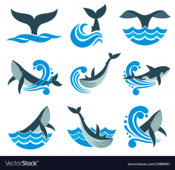 Wild whale in sea waves and water splashes