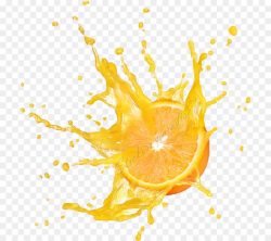 Lemon Clipart png download - 800*800 - Free Transparent ...