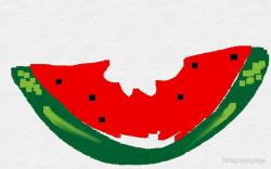 a bitten piece of watermelon slice \