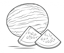 Watermelon coloring page | Free Printable Coloring Pages